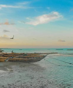 Zanzibar Beach paint by number