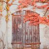 aesthetic door paint by numbers