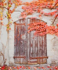 aesthetic door paint by numbers