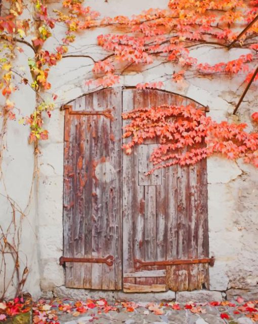 aesthetic door paint by numbers