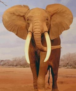 African Elephant paint by numbers