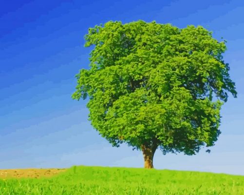 Amazing View Big Green Tress paint by numbers