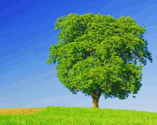 Amazing View Big Green Tress paint by numbers