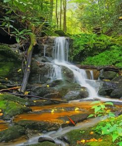 Amazing View in Pennsylvania paint by numbers