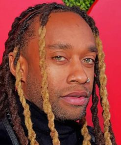 American Rapper Ty Dolla Sign Paint By Numbers