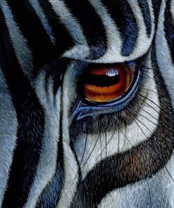 zebra's eye painting by numbers