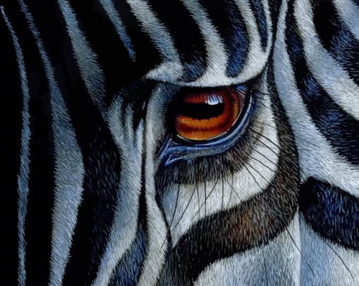 zebra's eye painting by numbers