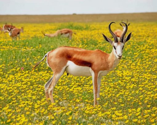 Antelope In Nature paint by number