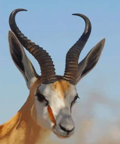 Antelope with Horns paint by numbers