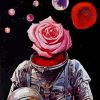 astronaut Rose bloom paint by numbers