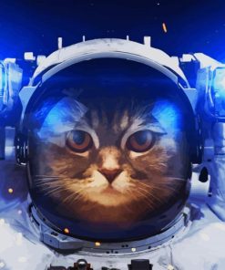 Astronaut Cat paint by number