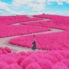 Autumn Japan Garden paint by number
