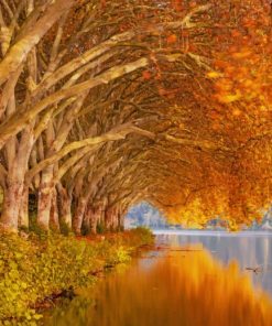 Autumn Trees Near Lake paint by number