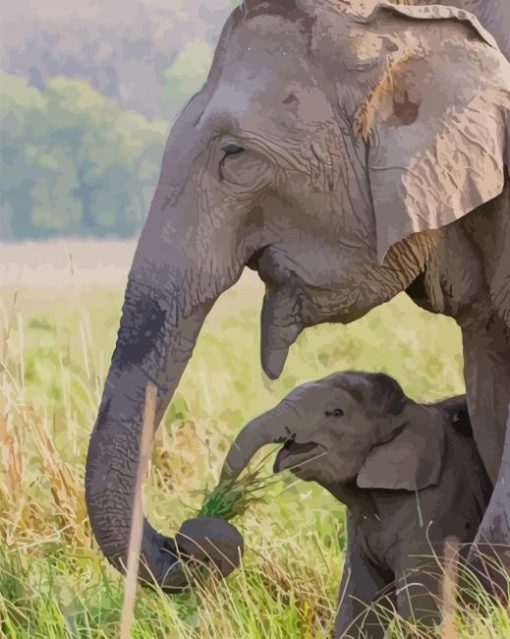 Baby Elephant and His Mum paint by numbers