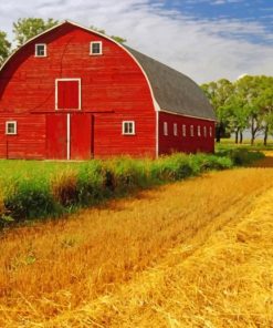 Barn Field paint by number