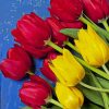 Yellow and Red Tulips paint by numbers