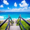 beach westren australia painting by numbers