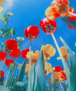 Beautiful Poppies Flowers paint by number