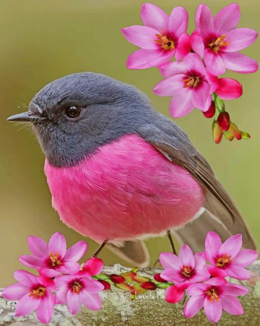 Beautiful Bird Paint By Numbers
