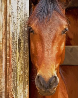Beautiful Brown Horse Face paint by numbers