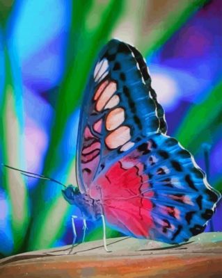 Beautiful Butterfly paint by numbers