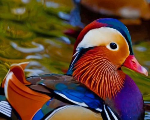Colorful Duck In The Water paint by numbers