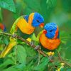 Beautiful Colorful Birds paint by numbers