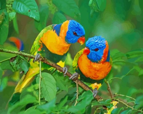 Beautiful Colorful Birds paint by numbers