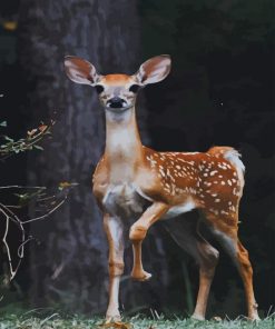 Beautiful Deer Animal paint by numbers