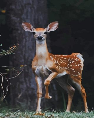 Beautiful Deer Animal paint by numbers