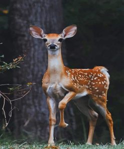 Beautiful Deer paint by numbers