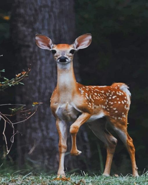 Beautiful Deer paint by numbers