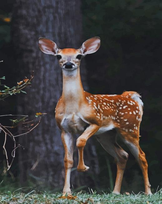 Beautiful Deer paint by numbers