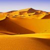 Beautiful Desert Sahara paint by numbers