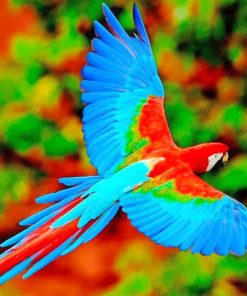 Flying Colorful Parrot paint by numbers