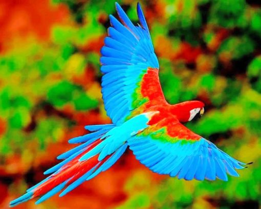Flying Colorful Parrot paint by numbers