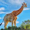 Beautiful Giraffe paint by number