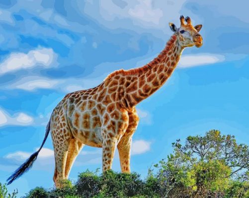 Beautiful Giraffe paint by number