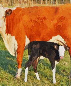 Beautiful Mum Cow and Her Baby paint by numbers