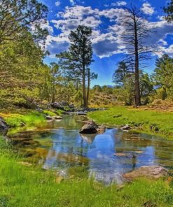 Beautiful Nature In The River paint by numbers