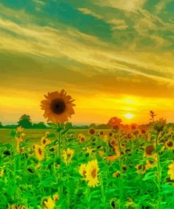 Beautiful Nature Sunflowers paint by number