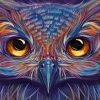 Beautiful Owl Artwork paint by number