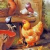 Beautiful Pigeon Chicken and Duck paint by numbers