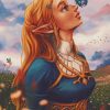 Beautiful Princess Zelda paint by numbers