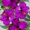 Beautiful Purple Flowers paint by numbers