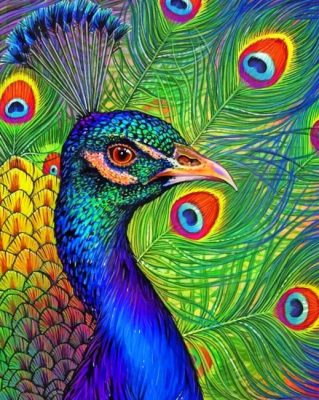 Beautiful Realistic Peacock paint By numbers