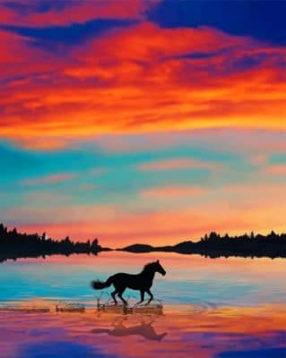 Beautiful Sky And Horse paint By numbers