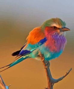 Beautiful Small Colourful Bird paint by numbers