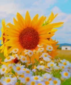 Beautiful Sunflower paint by number