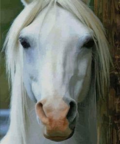 Beautiful White Horse paint by numbers